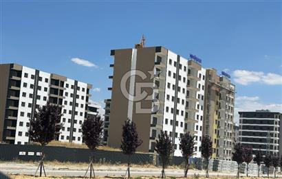 nas point satılık 