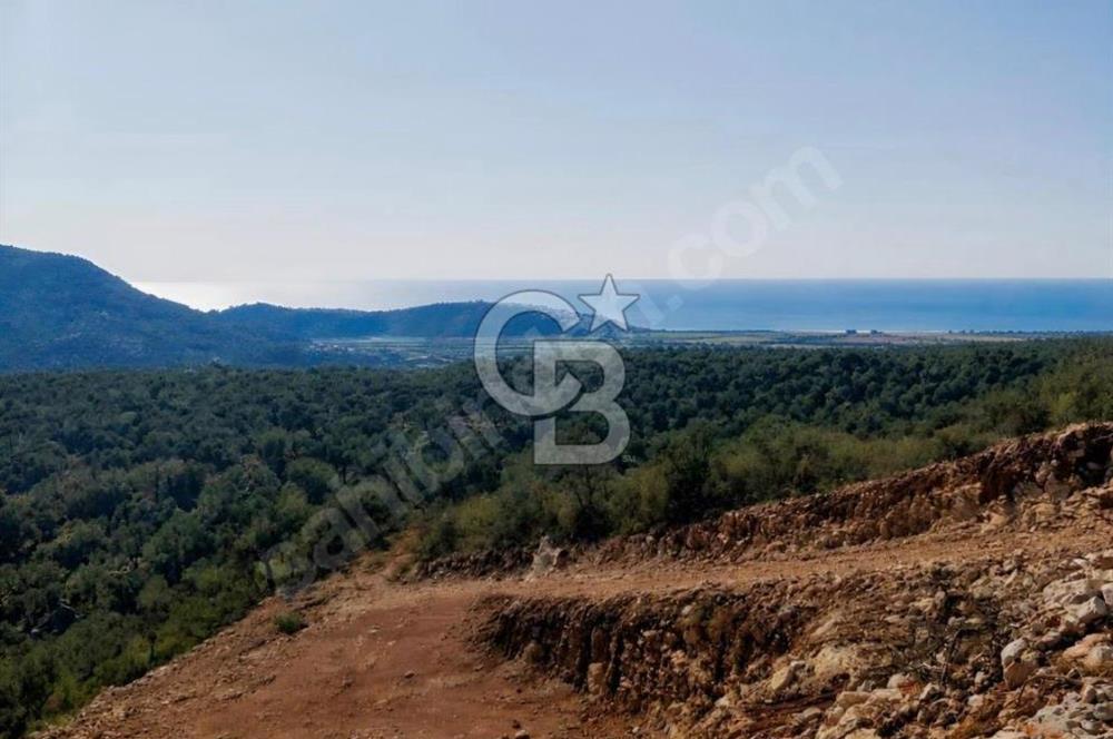 Dalaman Kapukargın Satılık Yatırımlık Tarla