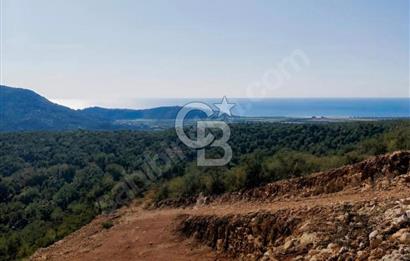 Dalaman Kapukargın Satılık Yatırımlık Tarla