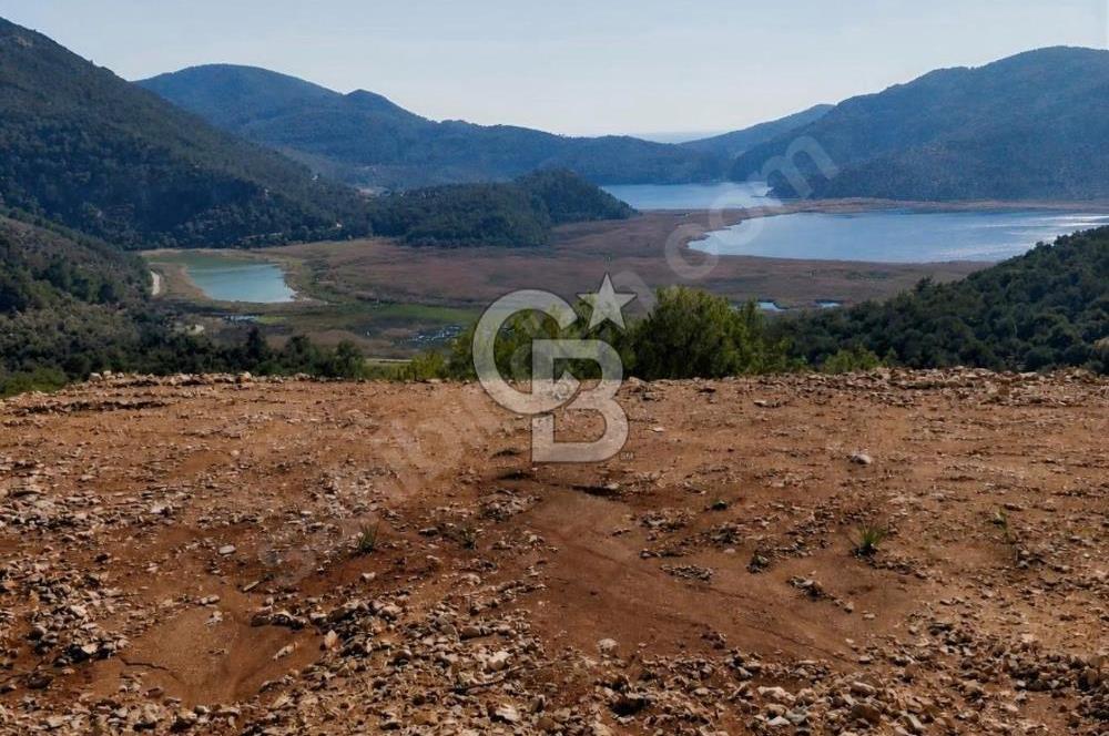 Dalaman Kapukargın Satılık Yatırımlık Tarla