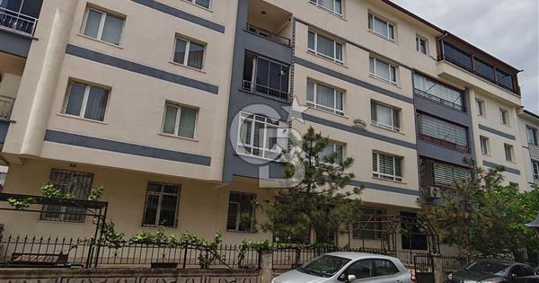 ETİMESGUT ELVAN MAH KATTA 3+1 SATILIK DAİRE - 379551