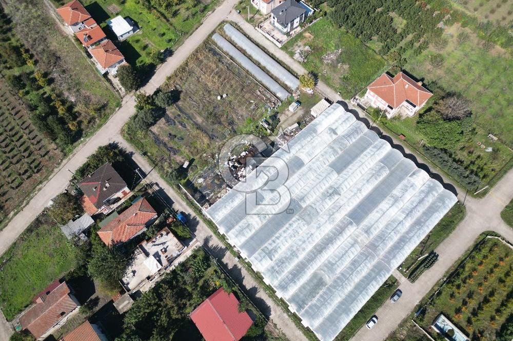 CB ENVOY/ALTINOVA'da BÜYÜK KONUT PROJERİ İÇİN UYGUN SATILIK ARSA