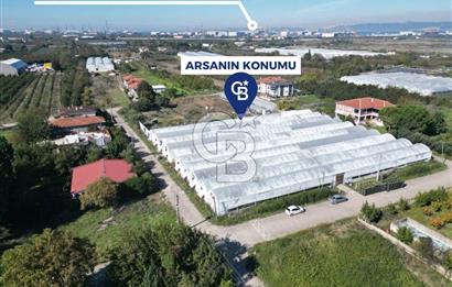 CB ENVOY/ALTINOVA'da BÜYÜK KONUT PROJERİ İÇİN UYGUN SATILIK ARSA