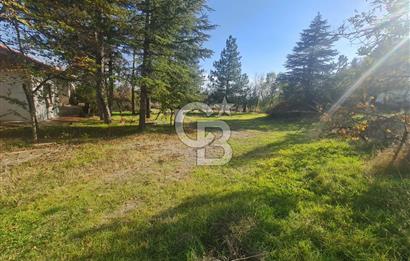 GÖLBAŞI GÜNALAN’DA BEYNAM ORMANI CEPHELİ 4.089 m² KÖY EVİ VE ARAZİ