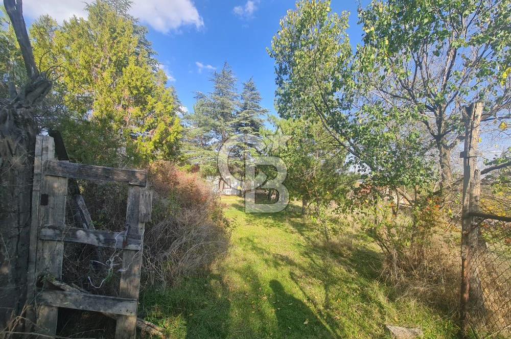 GÖLBAŞI GÜNALAN’DA BEYNAM ORMANI CEPHELİ 4.089 m² KÖY EVİ VE ARAZİ