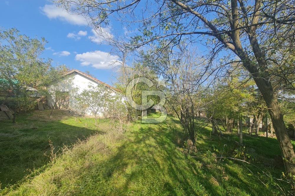 GÖLBAŞI GÜNALAN’DA BEYNAM ORMANI CEPHELİ 4.089 m² KÖY EVİ VE ARAZİ