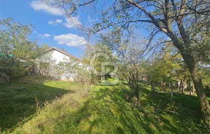 GÖLBAŞI GÜNALAN’DA BEYNAM ORMANI CEPHELİ 4.089 m² KÖY EVİ VE ARAZİ