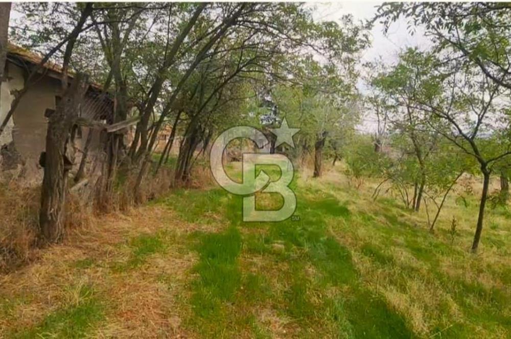 GÖLBAŞI GÜNALAN’DA BEYNAM ORMANI CEPHELİ 4.089 m² KÖY EVİ VE ARAZİ
