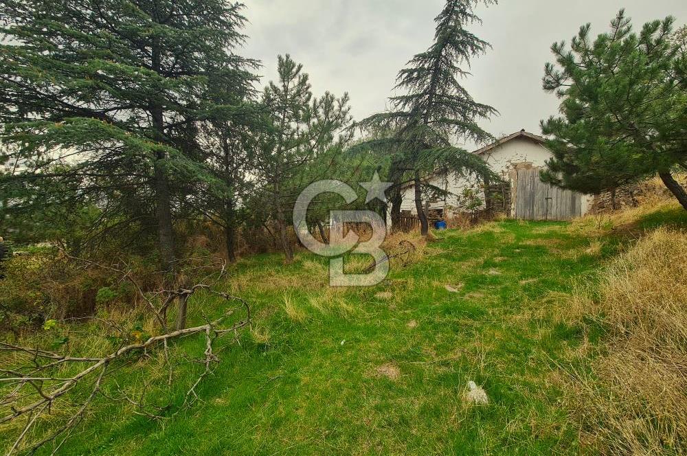 GÖLBAŞI GÜNALAN’DA BEYNAM ORMANI CEPHELİ 4.089 m² KÖY EVİ VE ARAZİ