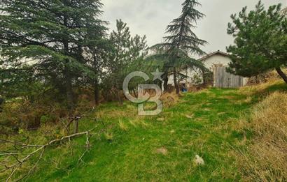 GÖLBAŞI GÜNALAN’DA BEYNAM ORMANI CEPHELİ 4.089 m² KÖY EVİ VE ARAZİ