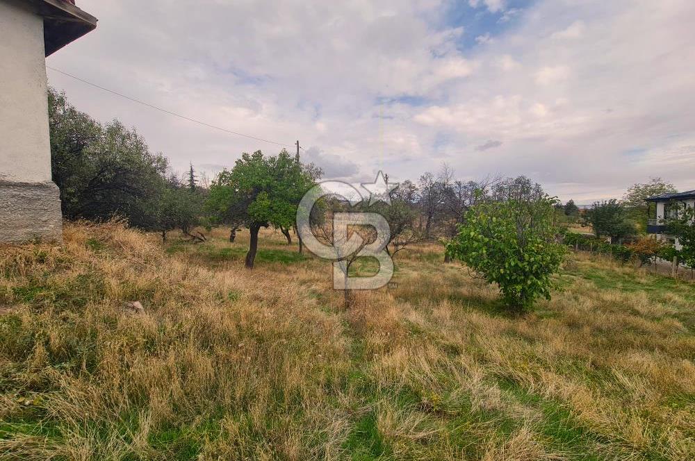 GÖLBAŞI GÜNALAN’DA BEYNAM ORMANI CEPHELİ 4.089 m² KÖY EVİ VE ARAZİ