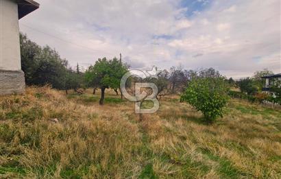 GÖLBAŞI GÜNALAN’DA BEYNAM ORMANI CEPHELİ 4.089 m² KÖY EVİ VE ARAZİ