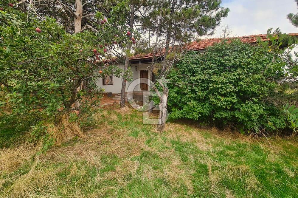 GÖLBAŞI GÜNALAN’DA BEYNAM ORMANI CEPHELİ 4.089 m² KÖY EVİ VE ARAZİ