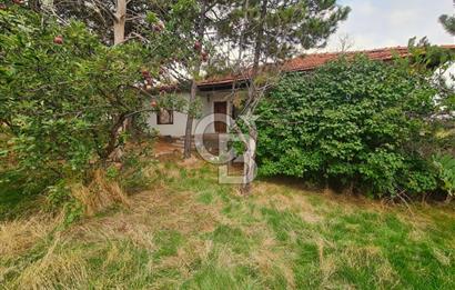 GÖLBAŞI GÜNALAN’DA BEYNAM ORMANI CEPHELİ 4.089 m² KÖY EVİ VE ARAZİ