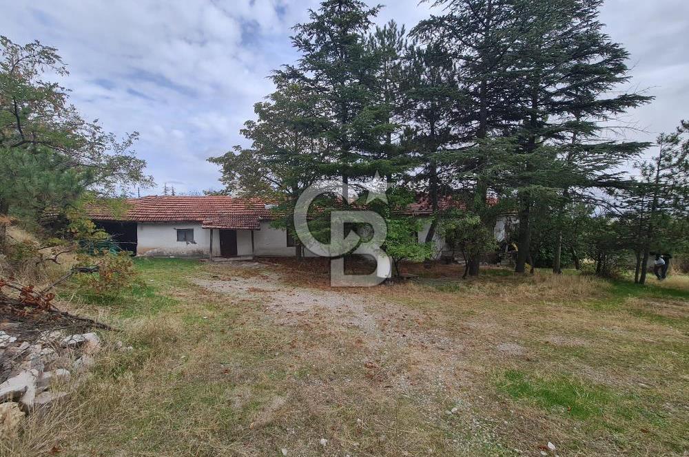 GÖLBAŞI GÜNALAN’DA BEYNAM ORMANI CEPHELİ 4.089 m² KÖY EVİ VE ARAZİ