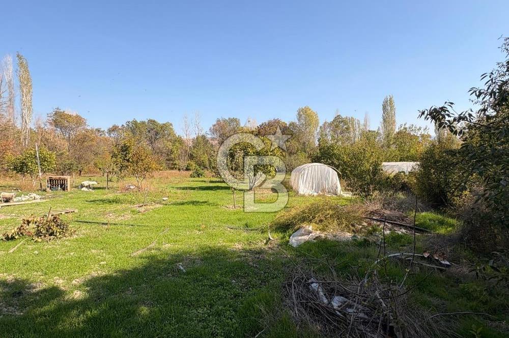  ANKARA KALECİK SATILIK ARSA VE 2 KATLI BAHÇE EVİ