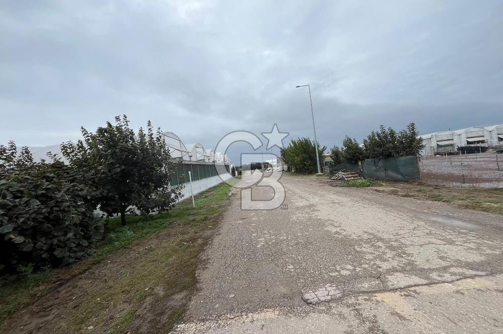 ALTINOVA GELİŞİM BÖLGESİNDE İMARLI 3878 M² ARSA