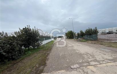 ALTINOVA GELİŞİM BÖLGESİNDE İMARLI 3878 M² ARSA