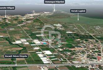 ALTINOVA GELİŞİM BÖLGESİNDE İMARLI 3878 M² ARSA - 1 - 379744