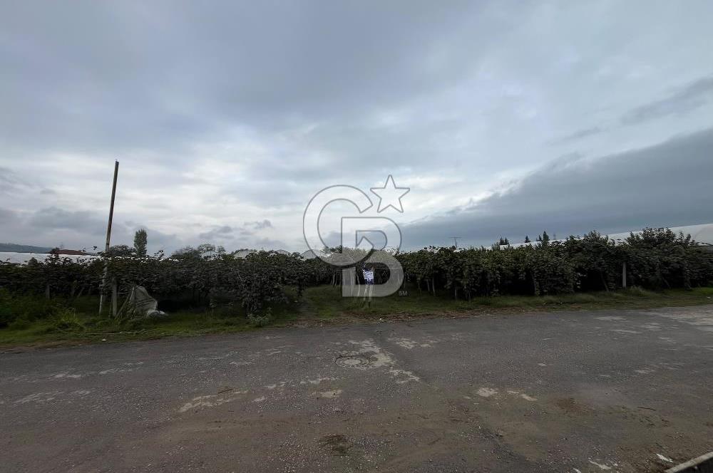 ALTINOVA GELİŞİM BÖLGESİNDE İMARLI 3878 M² ARSA