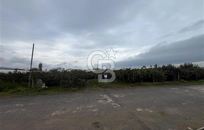 ALTINOVA GELİŞİM BÖLGESİNDE İMARLI 3878 M² ARSA