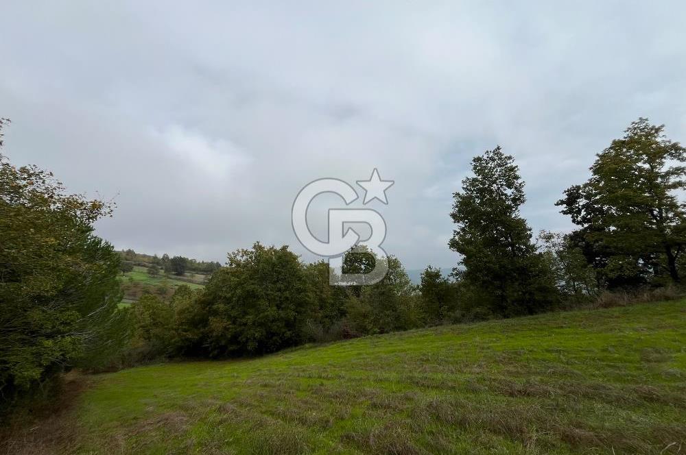 ALTINOVA GEYİKDERE'DE DOĞA VE KÖRFEZ MANZARALI 2026 M² TARLA