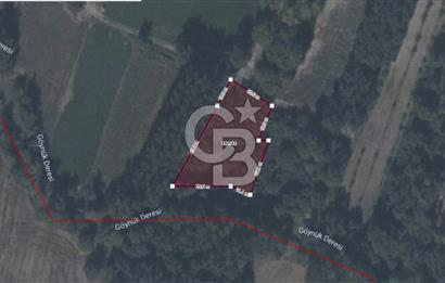 CB ENVOY TARAKLI ULUCAMİ'DE YOLA YAKIN 1600M² YATIRIMLIK BAHÇE