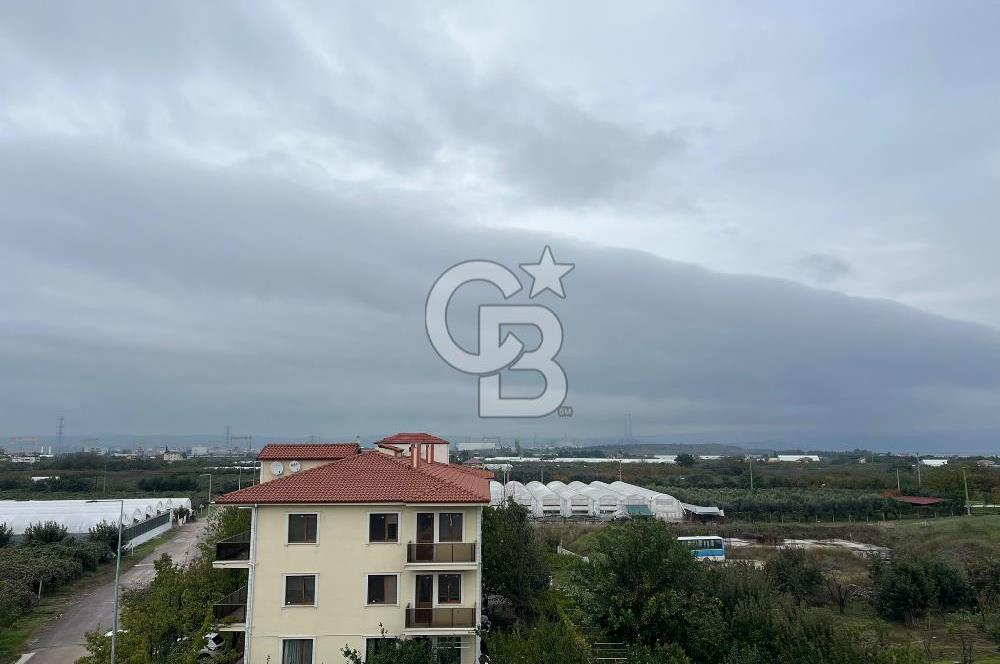 ALTINOVA GELİŞİM BÖLGESİNDE İMARLI 3878 M² ARSA