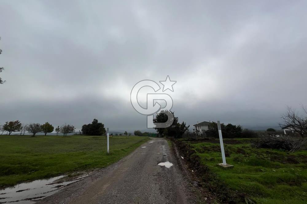 ALTINOVA GEYİKDERE'DE DOĞA VE KÖRFEZ MANZARALI 2026 M² TARLA