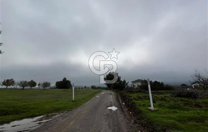 ALTINOVA GEYİKDERE'DE DOĞA VE KÖRFEZ MANZARALI 2026 M² TARLA