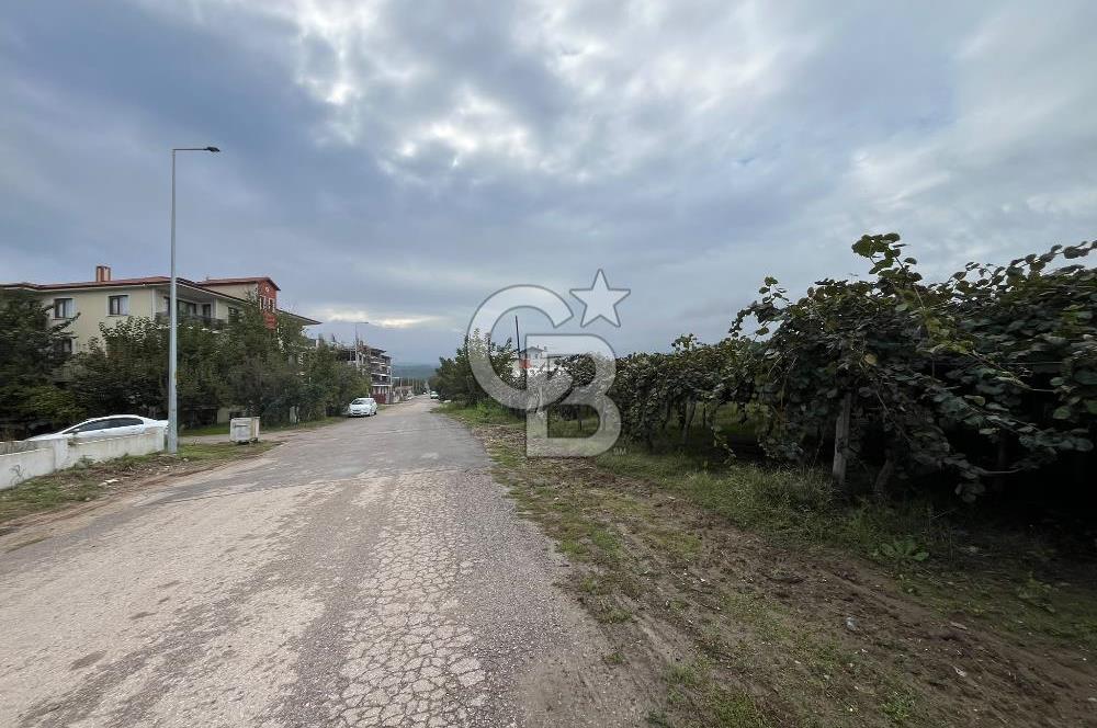 ALTINOVA GELİŞİM BÖLGESİNDE İMARLI 3878 M² ARSA