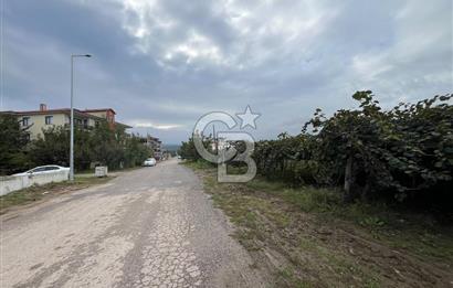 ALTINOVA GELİŞİM BÖLGESİNDE İMARLI 3878 M² ARSA
