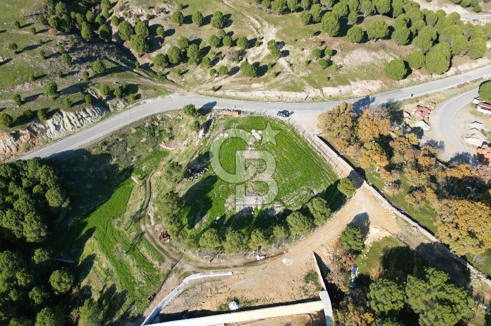Ayvalık Akçapınar Köyü’nde Satılık 2509 m² Arsa