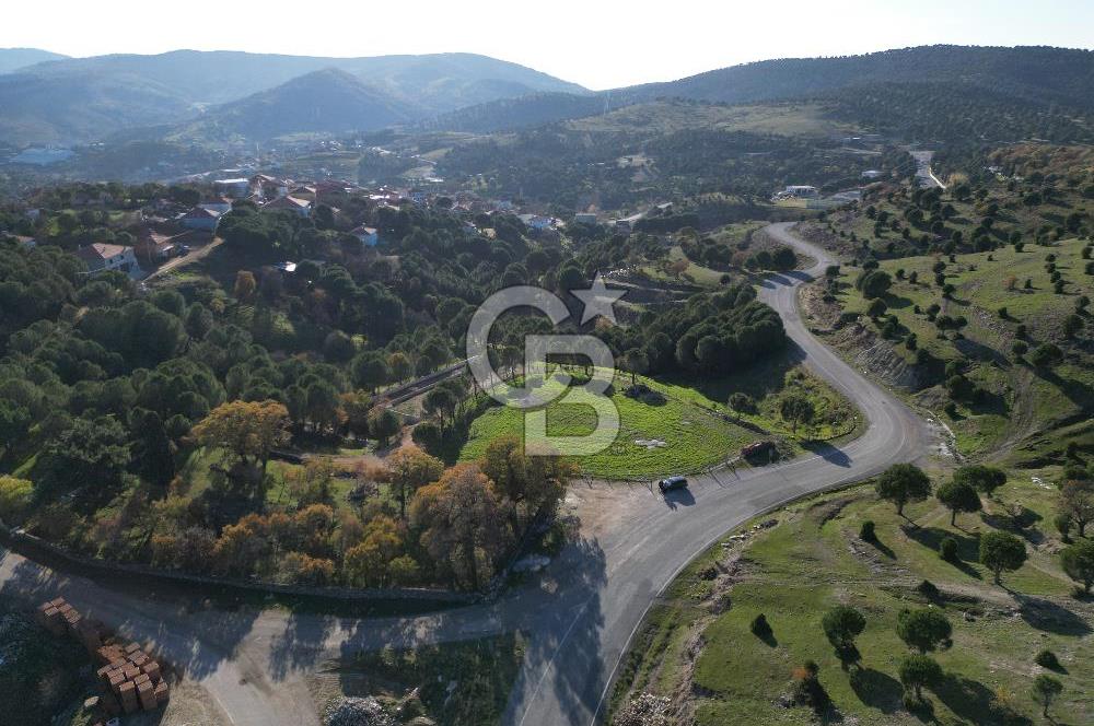 Ayvalık Akçapınar Köyü’nde Satılık 2509 m² Arsa