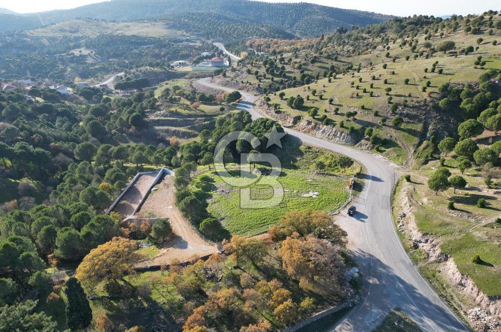Ayvalık Akçapınar Köyü’nde Satılık 2509 m² Arsa