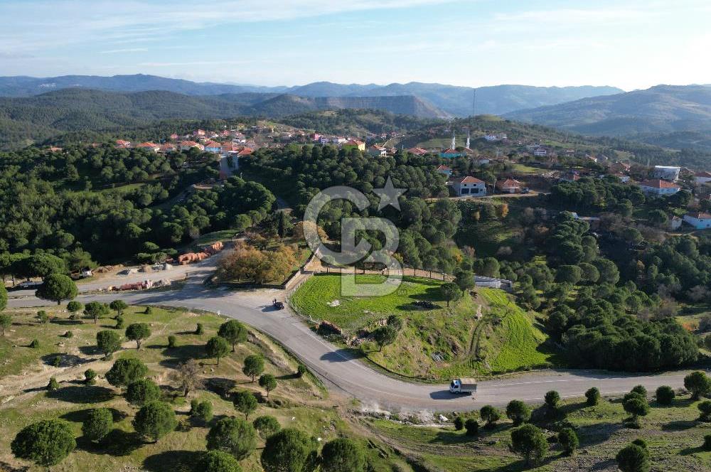 Ayvalık Akçapınar Köyü’nde Satılık 2509 m² Arsa