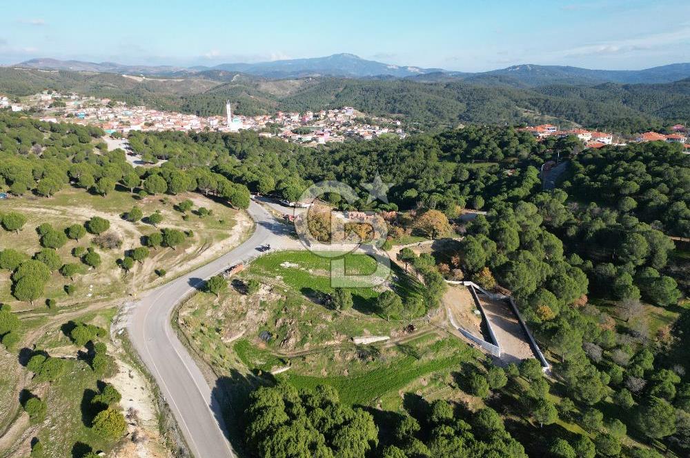 Ayvalık Akçapınar Köyü’nde Satılık 2509 m² Arsa