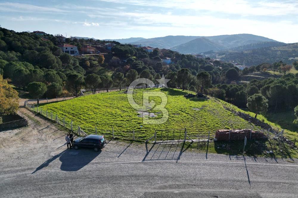 Ayvalık Akçapınar Köyü’nde Satılık 2509 m² Arsa