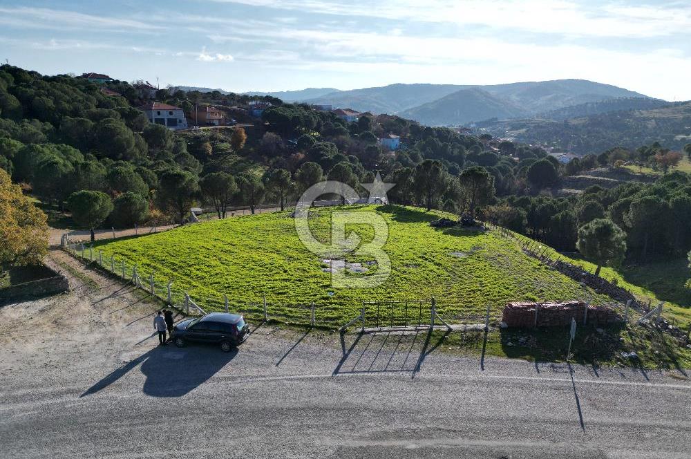 Ayvalık Akçapınar Köyü’nde Satılık 2509 m² Arsa