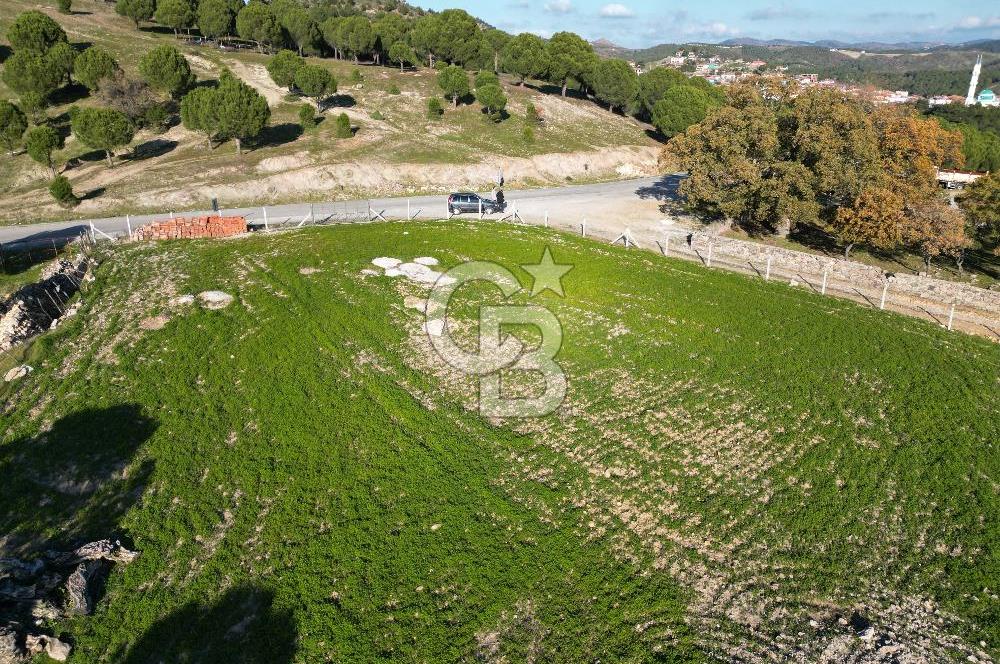 Ayvalık Akçapınar Köyü’nde Satılık 2509 m² Arsa