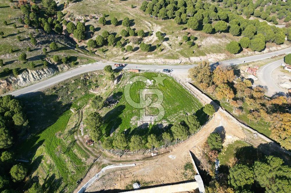 Ayvalık Akçapınar Köyü’nde Satılık 2509 m² Arsa
