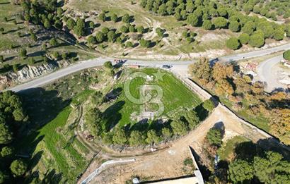 Ayvalık Akçapınar Köyü’nde Satılık 2509 m² Arsa
