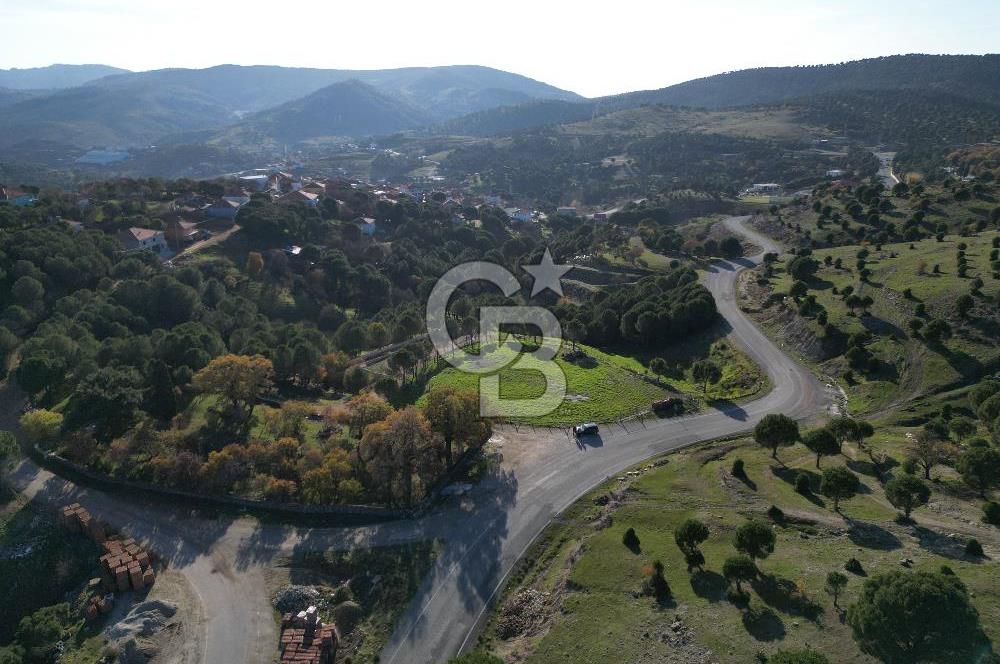 Ayvalık Akçapınar Köyü’nde Satılık 2509 m² Arsa