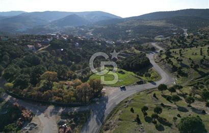 Ayvalık Akçapınar Köyü’nde Satılık 2509 m² Arsa