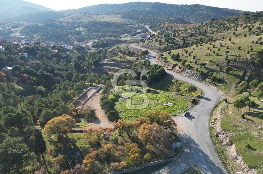 Ayvalık Akçapınar Köyü’nde Satılık 2509 m² Arsa