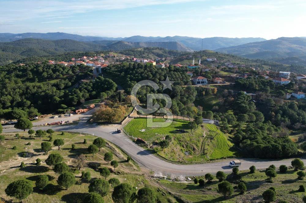 Ayvalık Akçapınar Köyü’nde Satılık 2509 m² Arsa