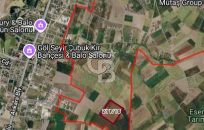 ÇUBUK SÜNLÜ'DE SATILIK TARLA