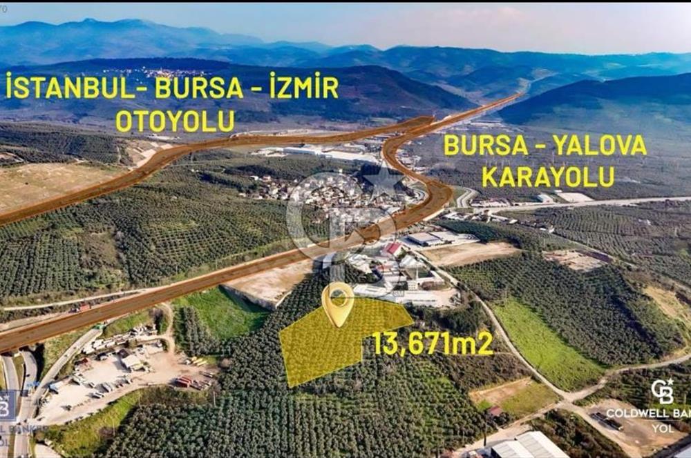 SATILIK TİCARİ İMARLI ARSA