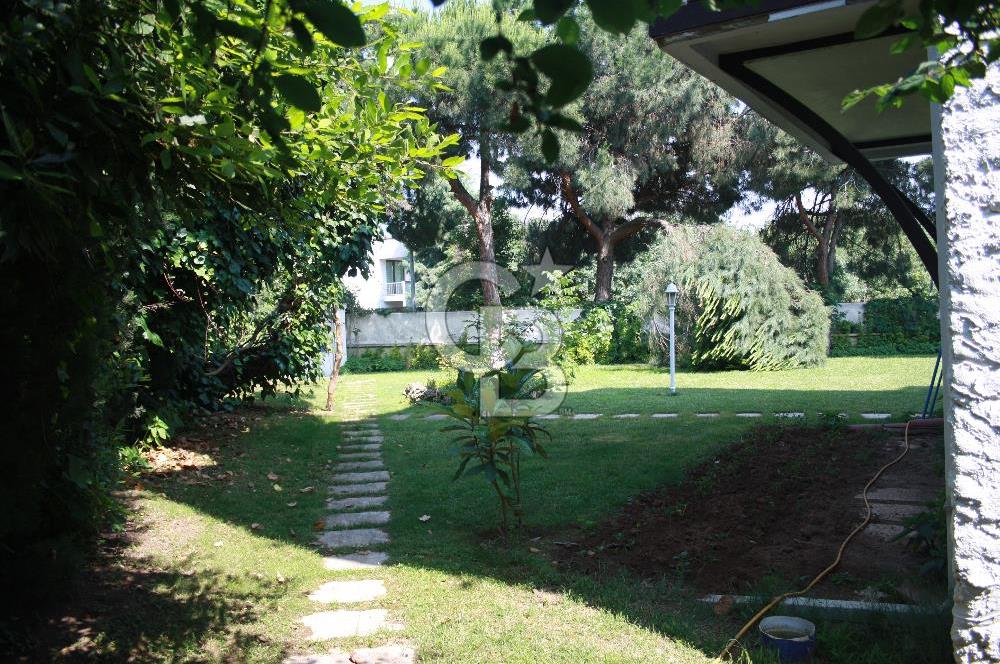 tuzla mercan sahilde 1000 m2 bahçeli müstakil havuzlu 2 villa