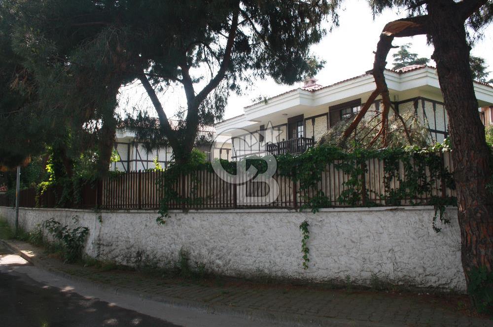tuzla mercan sahilde 1000 m2 bahçeli müstakil havuzlu 2 villa